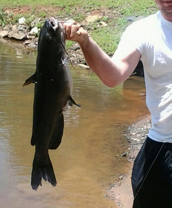 Catfish caught in our "Catch & Release" Lake