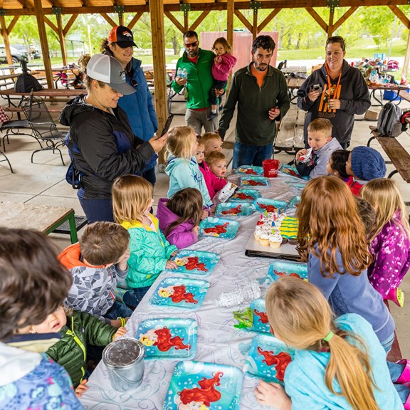 Year-Round activities