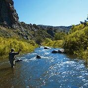 Fly fishing