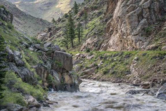 Cache la Poudre River Canyon