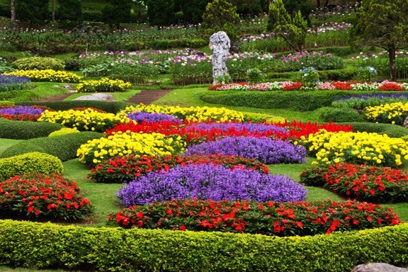 CSU Annual Flower Trial Garden