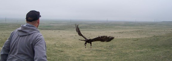 Rocky Mountain Raptor Program