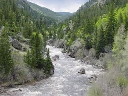 Cache la Poudre River Canyon