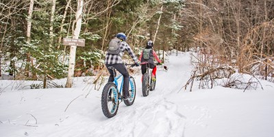 Winter Activities in Fort Collins