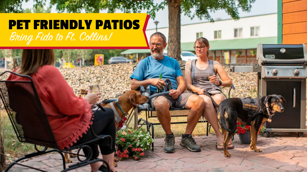Pet-Friendly Patios & Places in Fort Collins