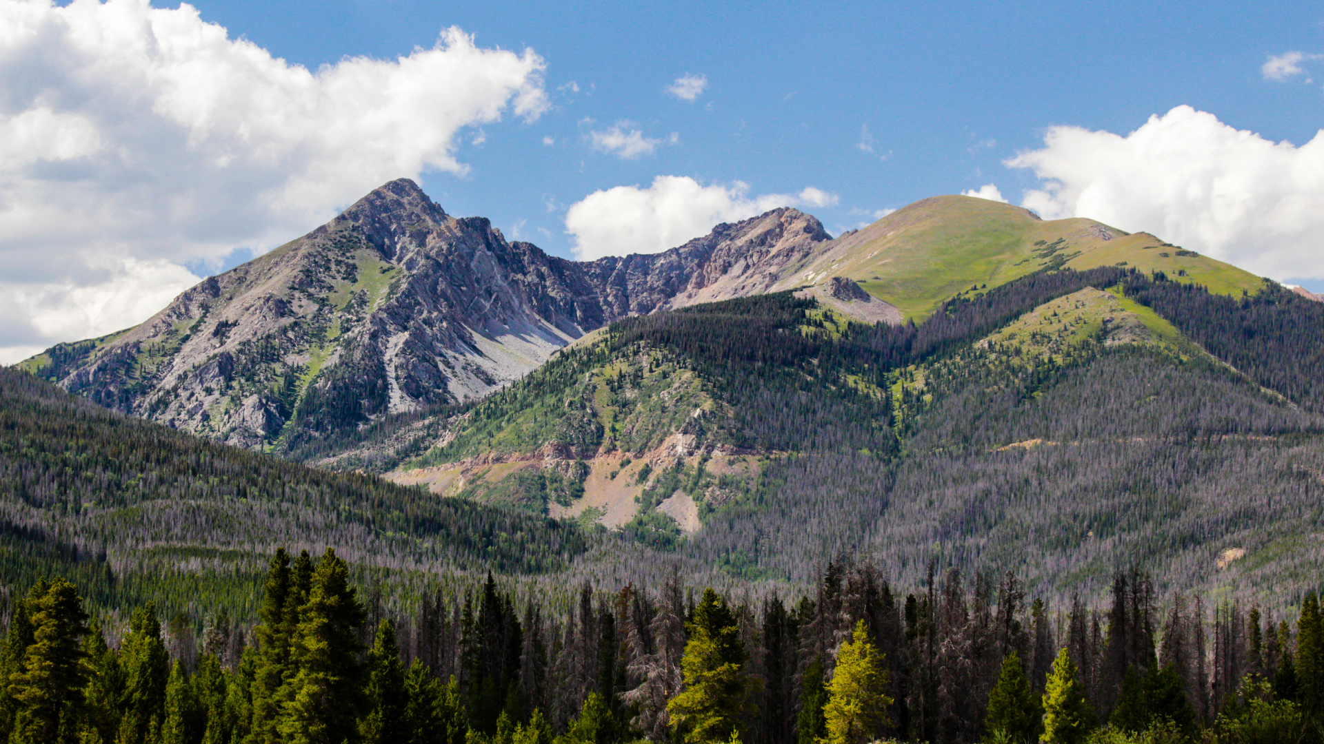 Free Entrance Days in the National Parks Photo