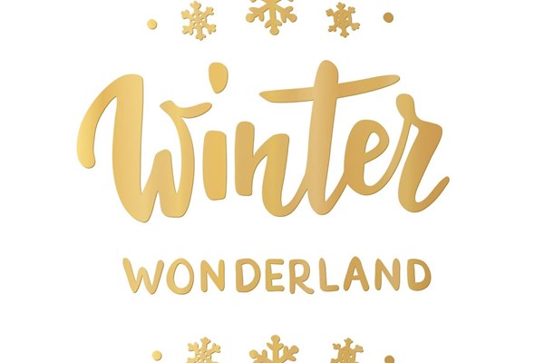 Winter Wonderland I Photo