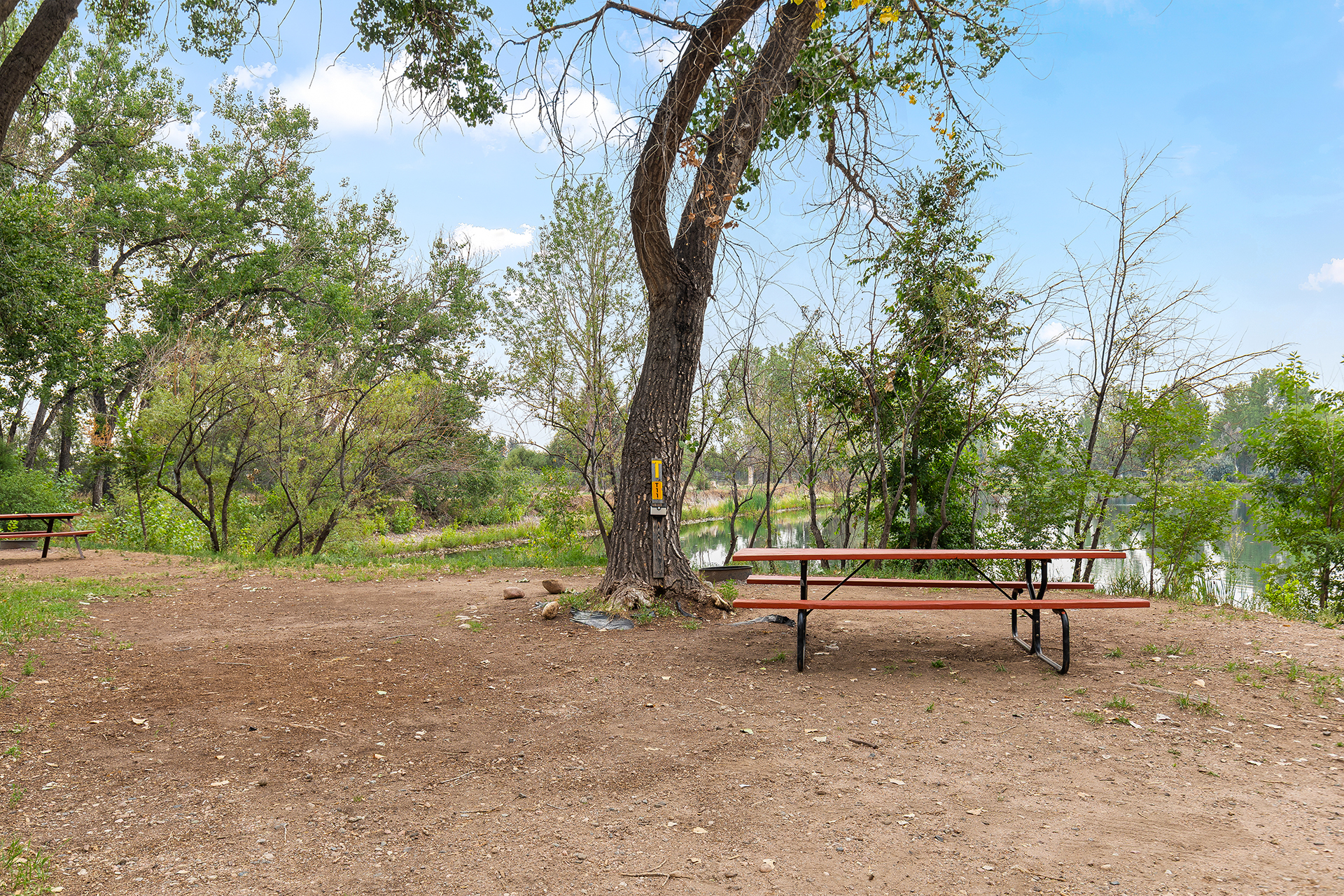 T11 - Tent Site, No Hookups - Sand Tent Pad