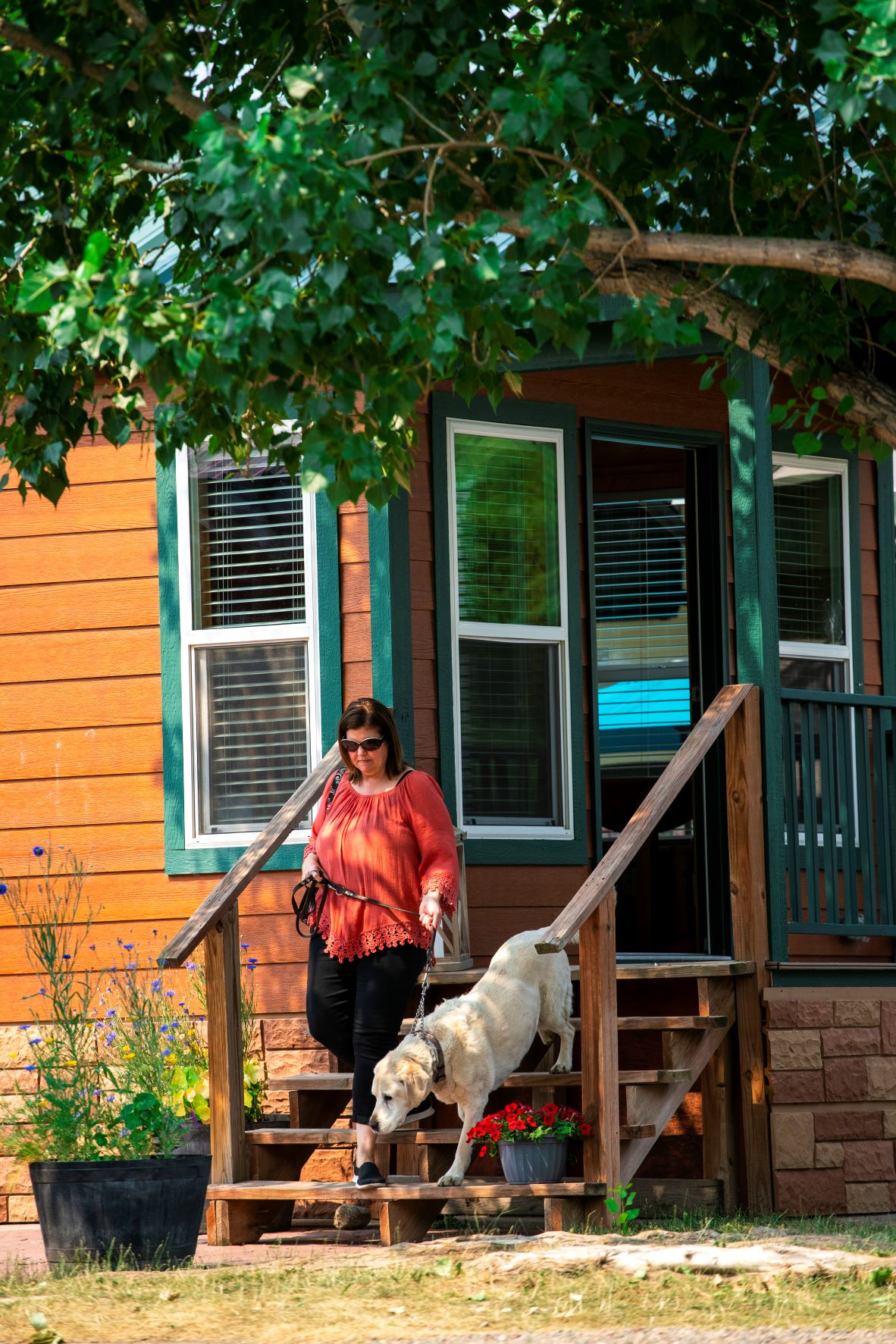 DLX Cabin Pet Friendly