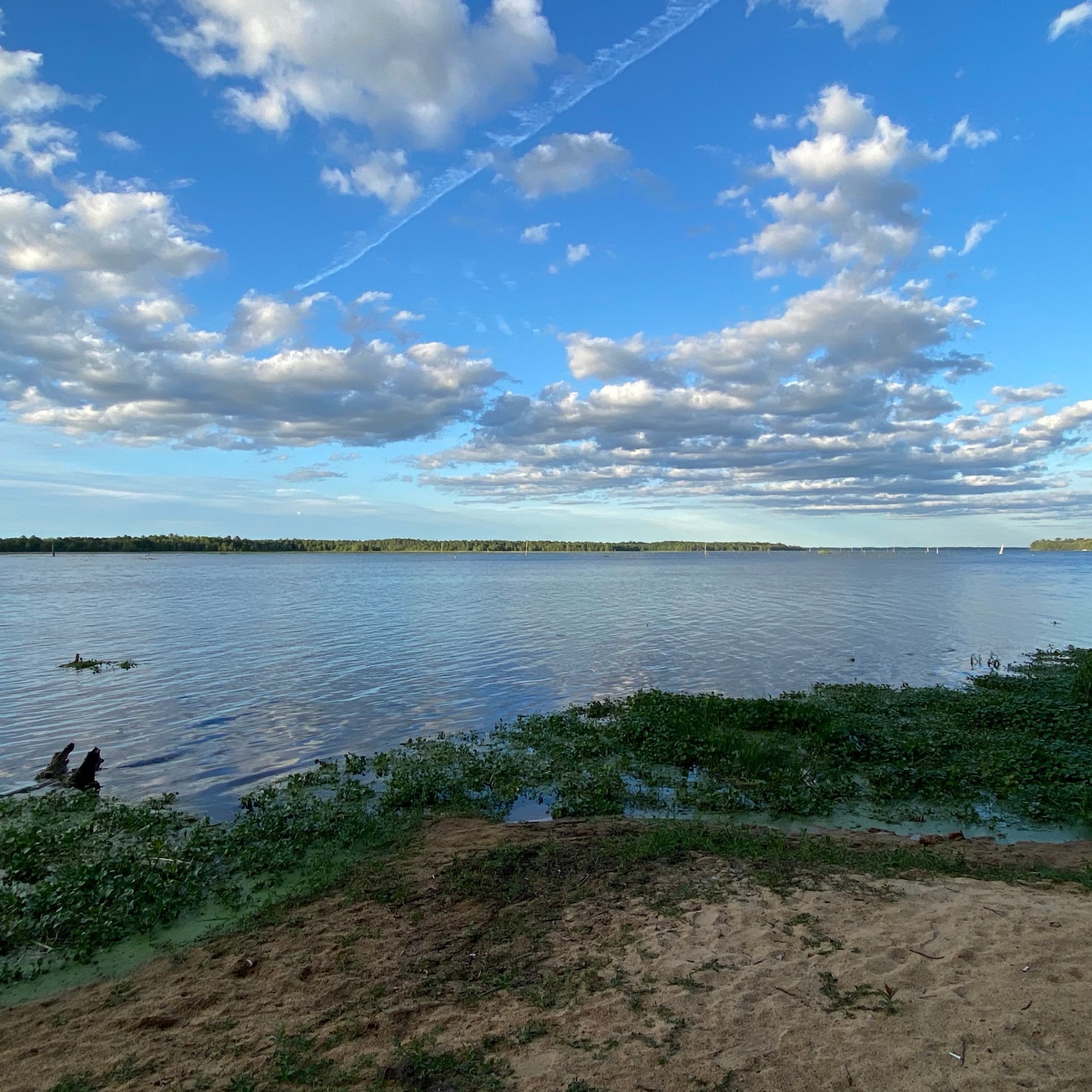 Fort McCoy, Florida Camping Deals Fort McCoy / Lake Oklawaha KOA Holiday