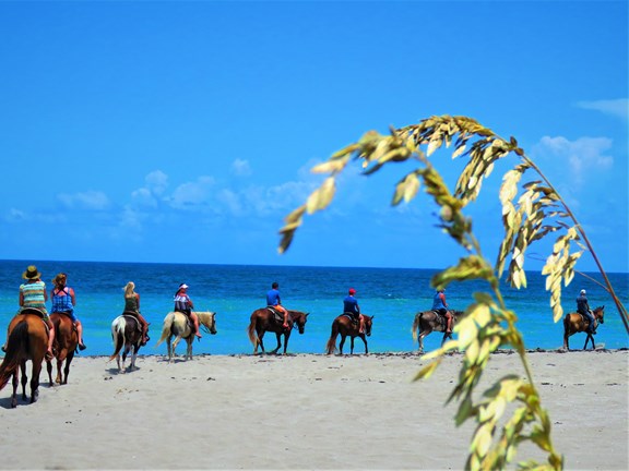 Horseback Riding on the beach!!!