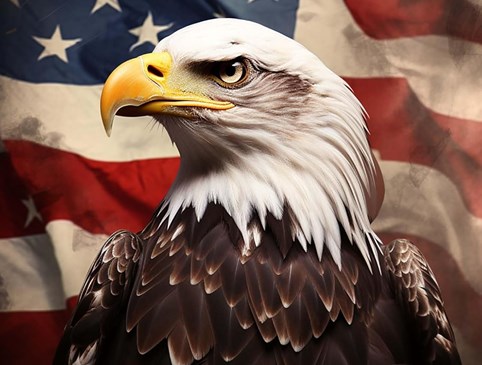 American Military 10% Photo