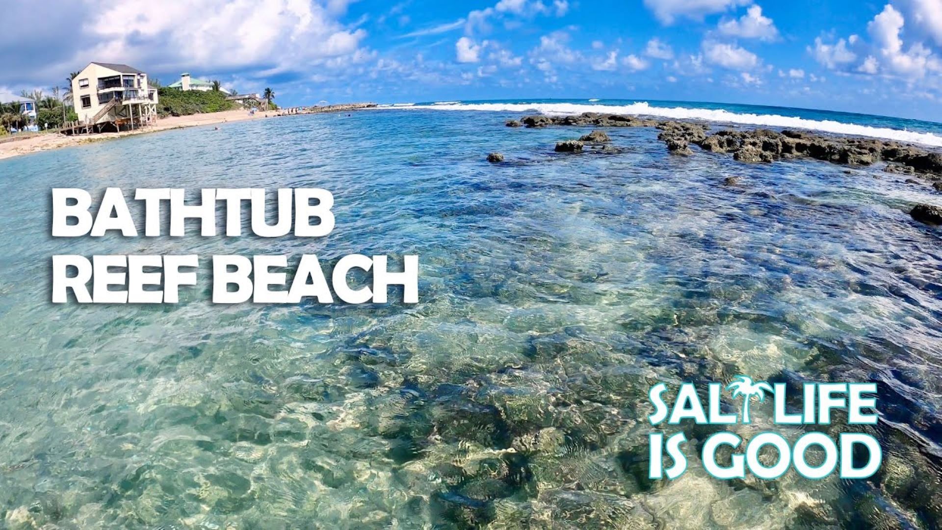 bathtub coral reef beach Photo