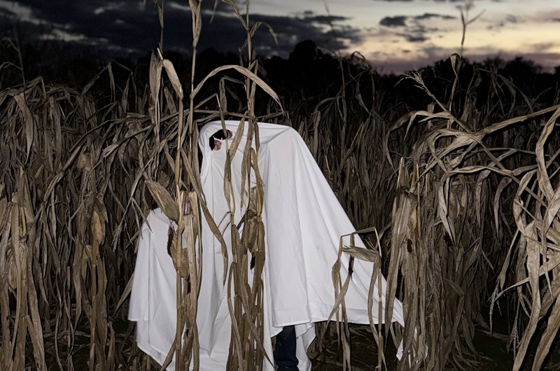 Halloween 2026 Photo