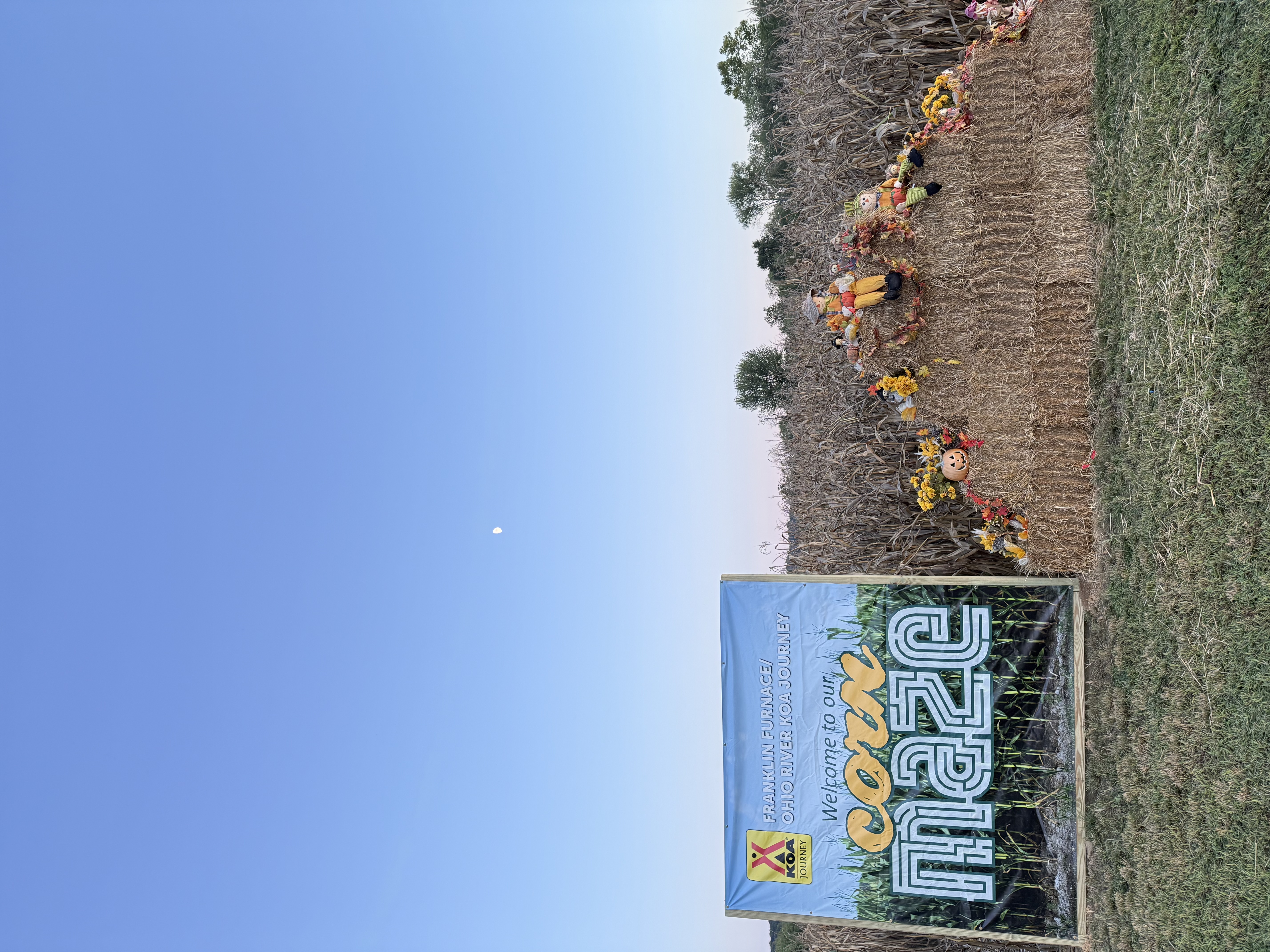 Corn Maze Photo
