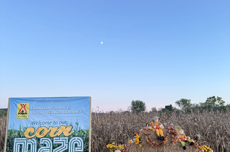 Corn Maze Photo