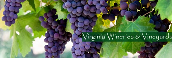 Virginia Wineries