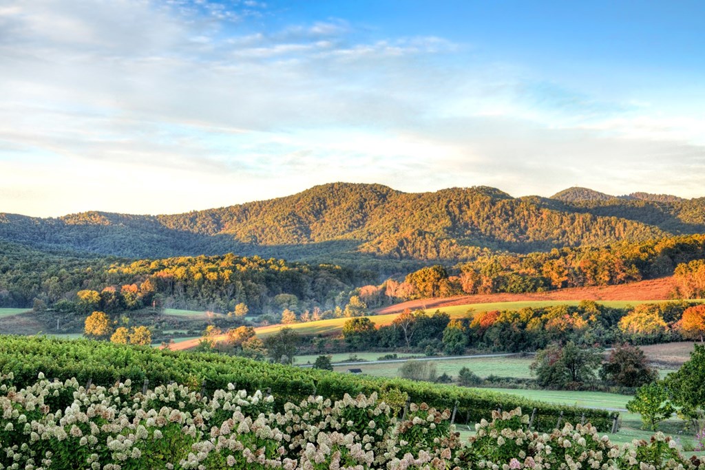 Top 23 Weekend Getaways in Virginia