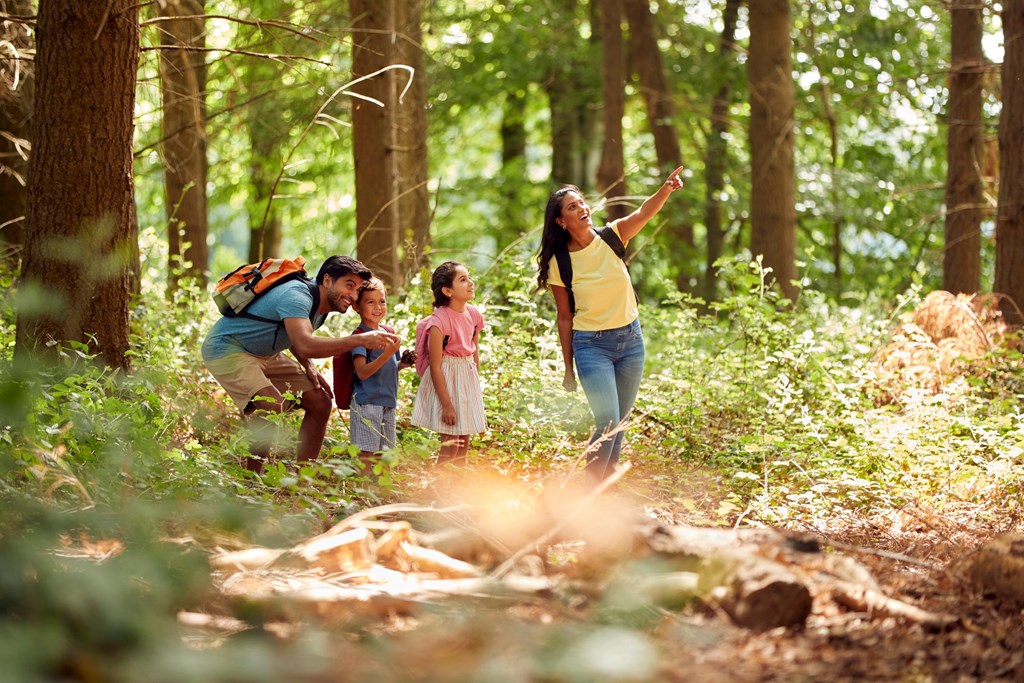 8 Reasons to Camp with Your Family