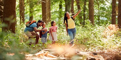 8 Reasons to Camp with Your Family