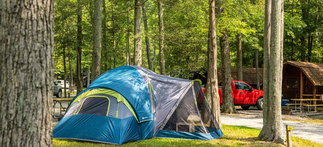 Standard Tent Site Grass NO Hook Ups
