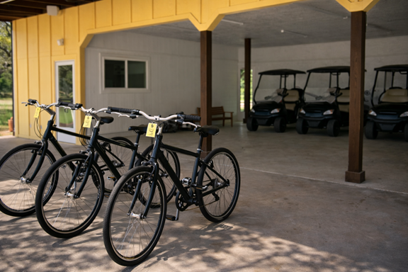 Bike Rentals