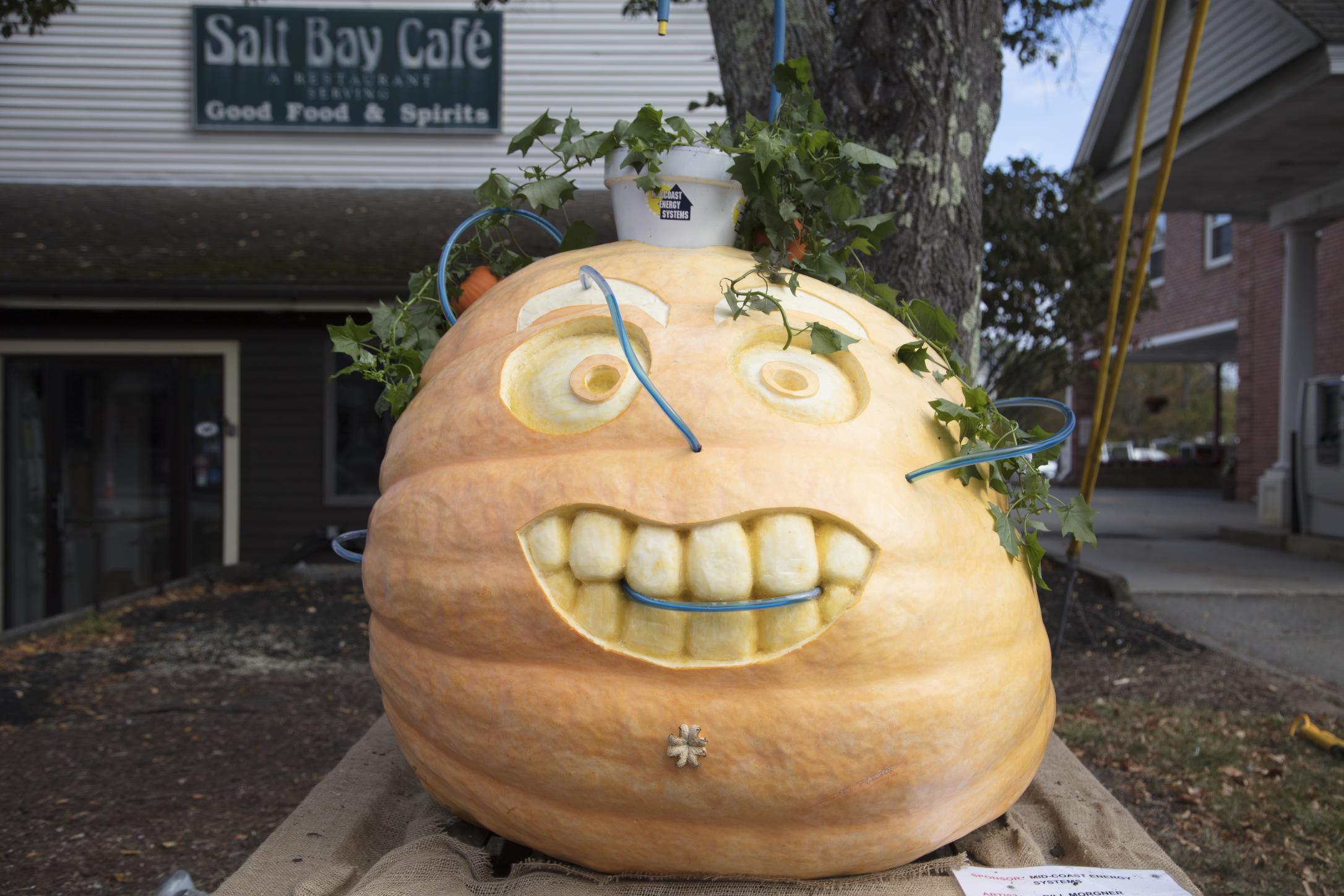 PUMPKIN FEST AND REGATTA Photo