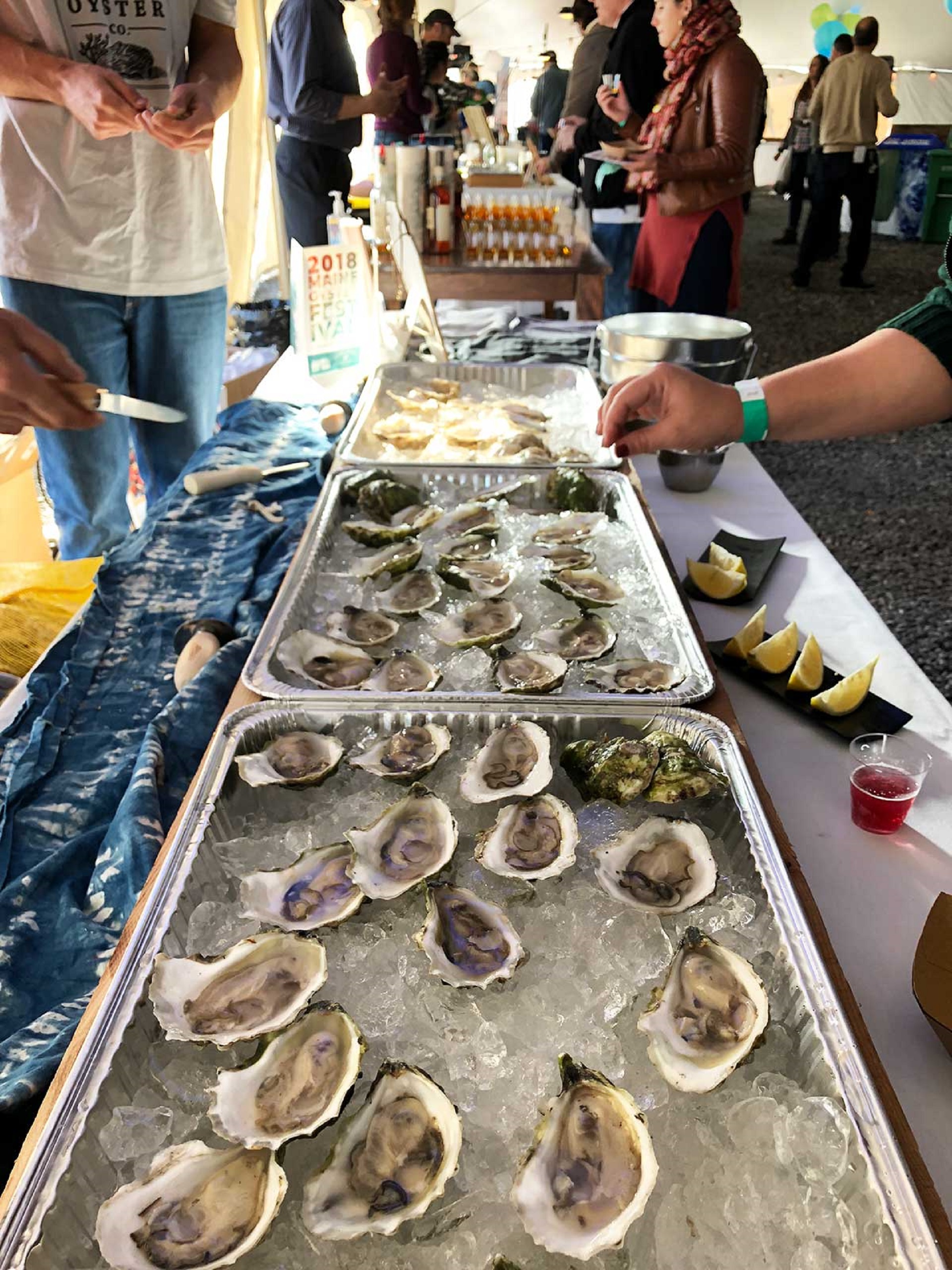 MAINE OYSTER FESTIVAL! Photo