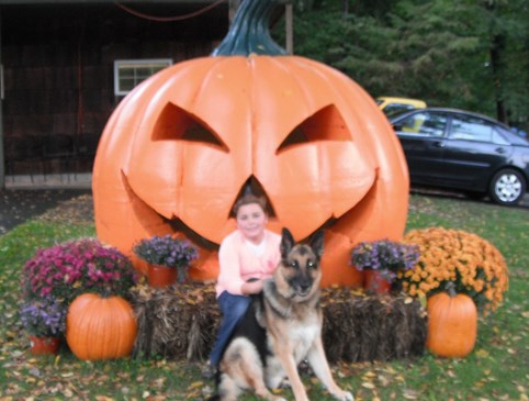 Celebrate Autumn! Photo