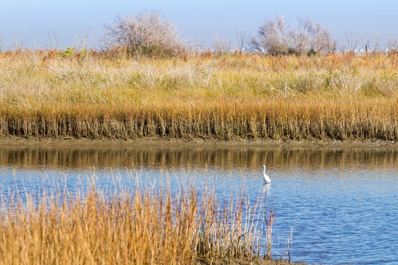 Galveston Island State Park