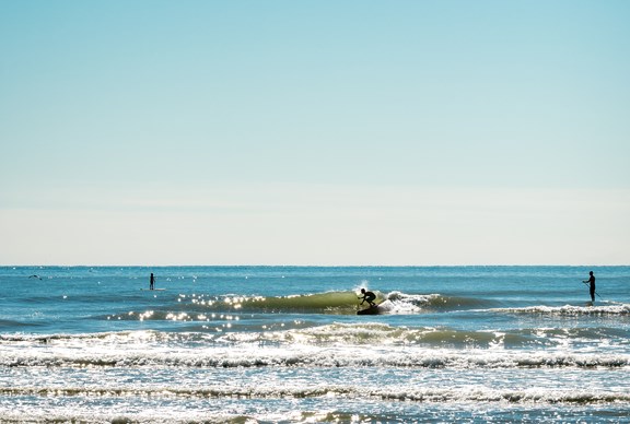 Surfing