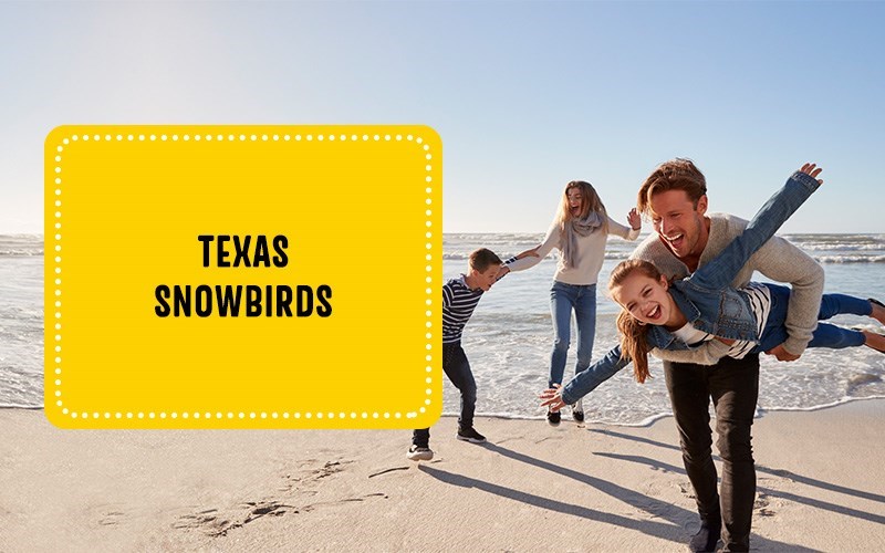 What Are Texas Snowbirds?