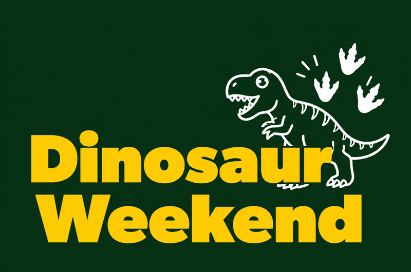 Dinosaur Theme Weekend Photo