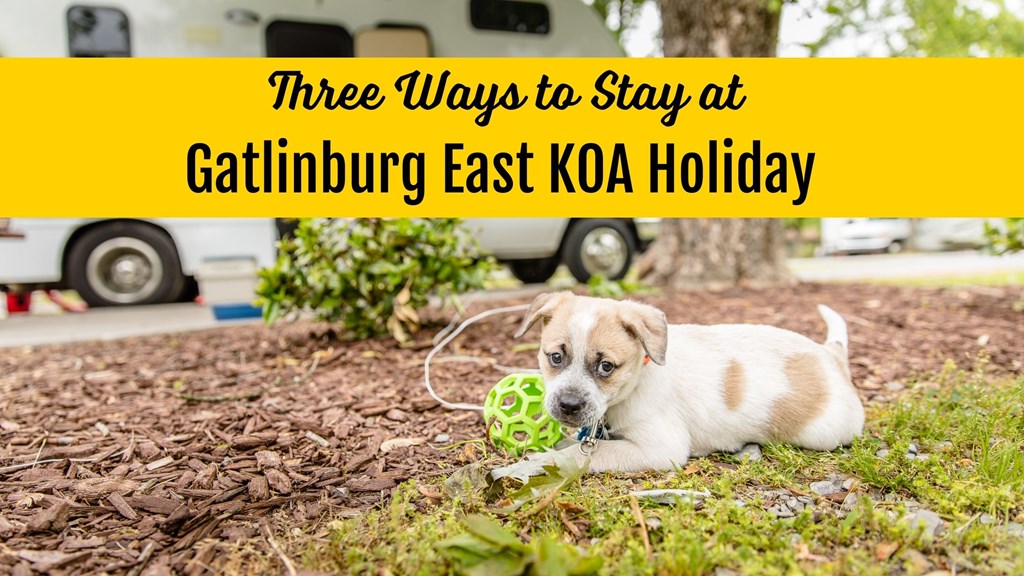 Three Ways to Stay at Gatlinburg East KOA Holiday