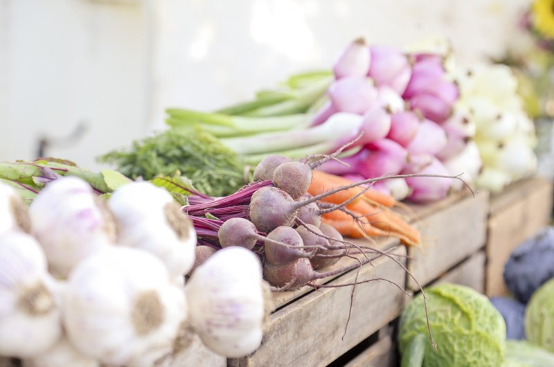 Gatlinburg Farmers Market Photo