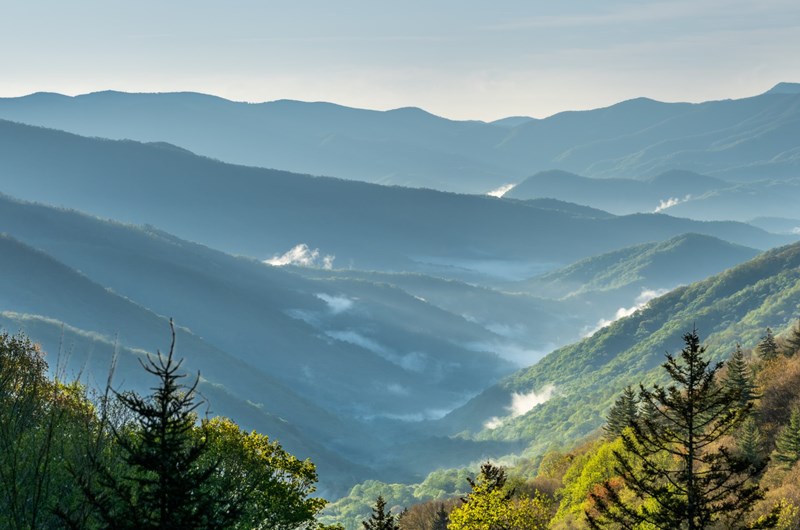 Gatlinburg SkyPark Mountain Laurel Days Photo
