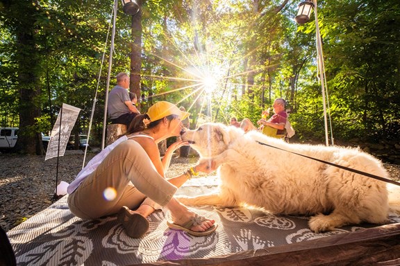 Plan a trip to Rockwood, Tennessee