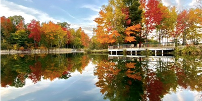 Come See Michigan&#39;s Fantastic Fall Foliage!