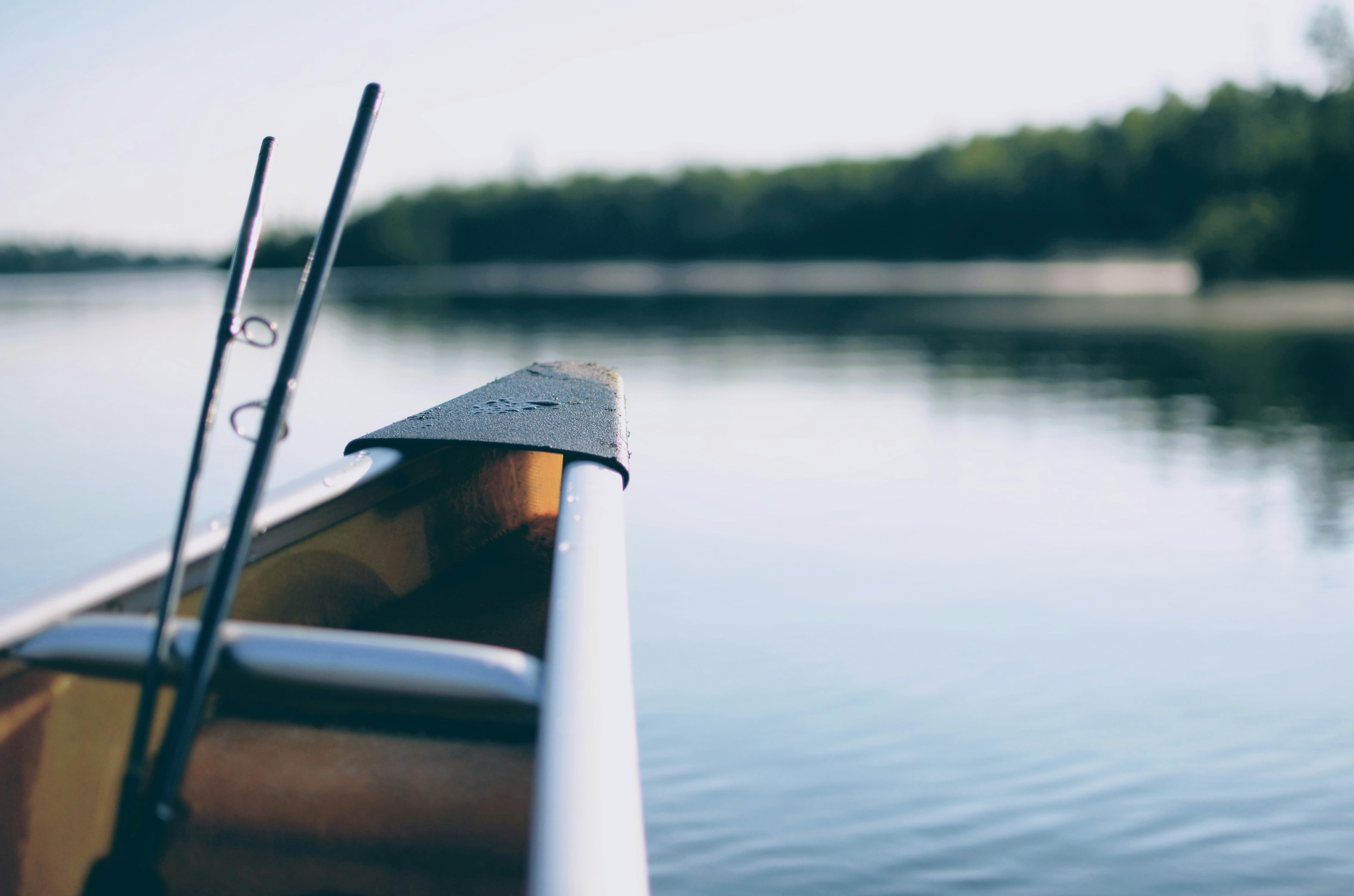 Three Free Weekend - Fish, Ride, Boat for FREE in Michigan Photo