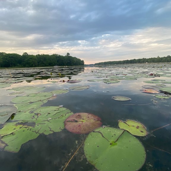 Plan a trip to Beaverton, Michigan