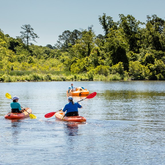 Plan a trip to Reed City, Michigan