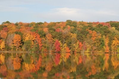 Fall Color Tour