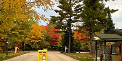 Check Out Michigan&#39;s Spectacular Fall Foliage!