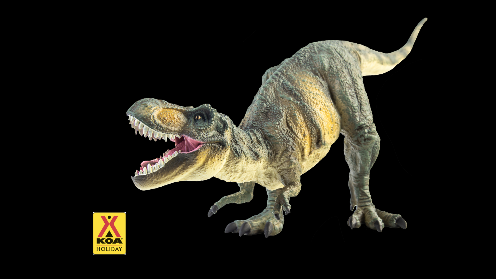 Dinosaur Weekend Photo