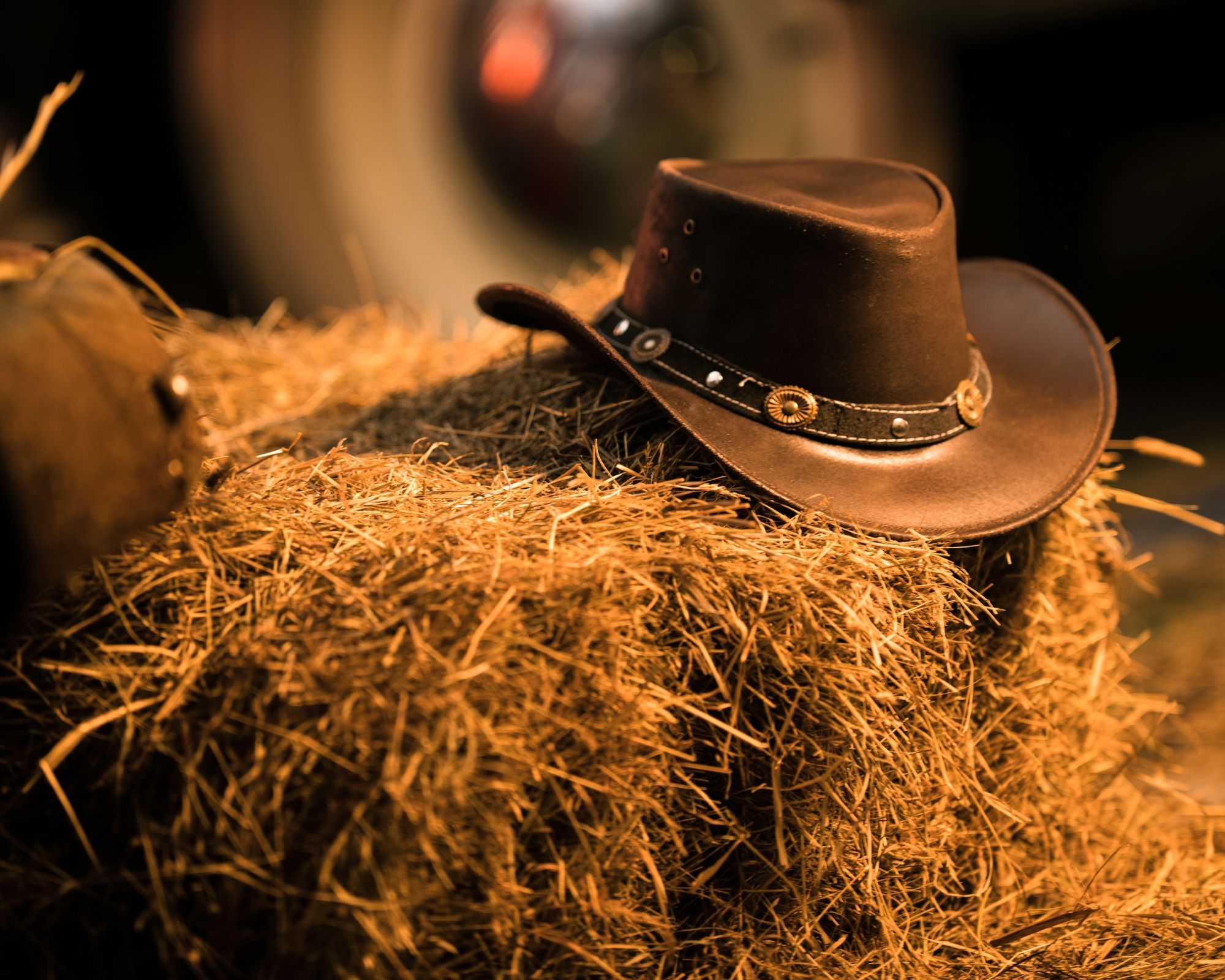 Western Weekend Photo