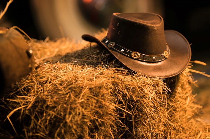 Western Weekend Photo