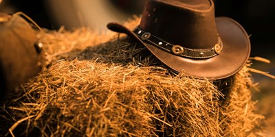 Western Weekend