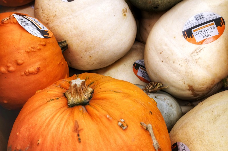 Farmer's Market Gaylord's Downtown Pavilion Event at the Gaylord KOA