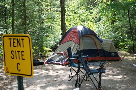 Tent Sites Tucked Into Woods
