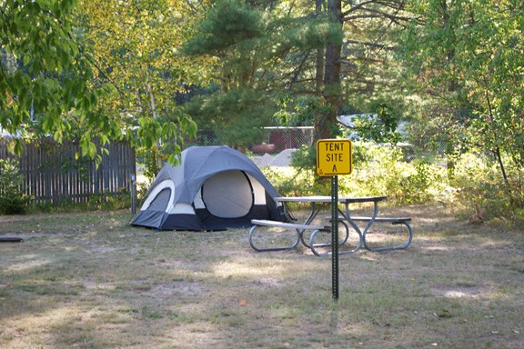 Shaded Tent Sites